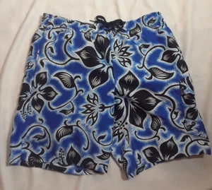 Speedo Board Shorts Trunks Size S Blue Print Pockets Mesh Lined Polyester - Picture 1 of 8