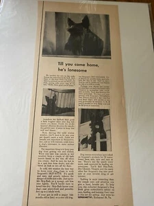 Vintage 1953 Sergeant's Flea Collar Till You Come Home Scottie Dog ad - Picture 1 of 1