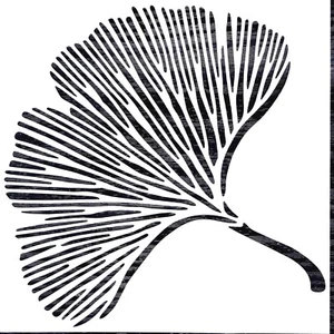 Pochoir feuille de Ginkgo 30x30 réutilisable reversible. Stencil Ginkgo reusable - Imagen 1 de 1