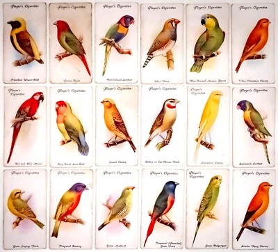 18 Aviary & Cage Birds Cigarette Cards John Player & Sons Ltd 1933 Ornithologist - Image 1 of 2