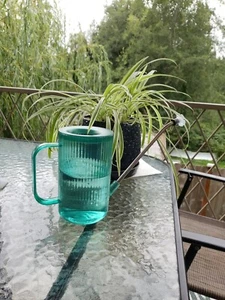 Watering Can, Green Watering Can for Indoor Plants Garden with Long Spout, 1 Ltr - Picture 1 of 3