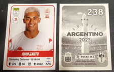 2023 Panini Futbol Argentino Sticker Juan Gauto  Rookie U-20 Team #238