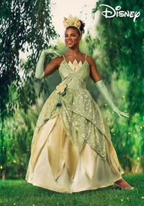 Women's Disney  Princess & Frog Deluxe Tiana Costume size 3XL (with defect) - Picture 1 of 9