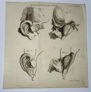 ANATOMIE- PARTIES DE L'OREILLE 1761 GRAVURE ORIGINALE par FONBONNE & DU VERNEY - Picture 1 of 6