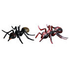 2 Pcs Animal Model Simulation Ant Ornament Creative Shape Child Puzzle
