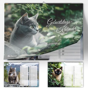 Geburtstagskalender Wandkalender A5 Jahresunabhängig – Kalender Katzen - Bild 1 von 8