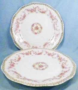 2 Orleans Salad Plates Z S & Co Bavaria Pink Roses Gold Flowers Porcelain ZSC32 - Picture 1 of 6