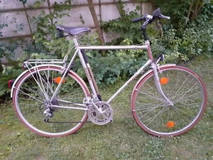28er Vintage Herrenrad, Fahrrad Giant, Shimano 21-Gang Kettenschaltung - Bild 1 von 13