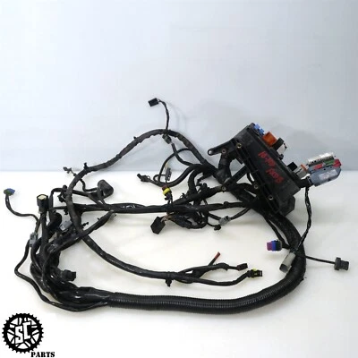 Arnés de cableado principal Harley Davidson Dyna FXDB 2008-2010 69602-08A HD22 Foto 1 de 4