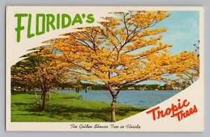 Florida FL Golden Shower Tropic Trees Curt Teich Chrome Postkarte 1961 - Bild 1 von 2