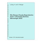 The Human Female Reproductive Tract A Scanning Electron Microscopic Atlas Ludwi