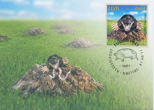 Estonia 2019 MAXI Fauna Stamps The Mole Mammals Wild Animals 1v Set - Picture 1 of 1