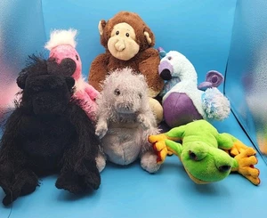 Ganz Webkinz Plush Lot of 6 Stuffed Animals Jr Brown Monkey Squirrel NO CODES - Picture 1 of 5