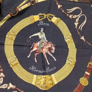 Hermes Silk Scarf Carre 90 Pampa Black Used from Japan - Picture 1 of 12