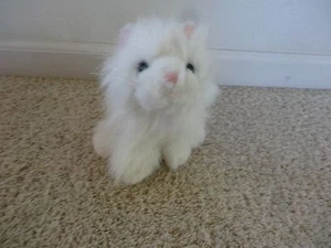 Webkinz Persian Cat - No Code - Ganz - HM110 - Picture 1 of 3