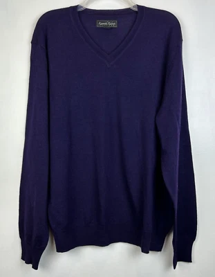 Kenneth Roberts 白金毛衣男式 L 美利奴羊毛毛衣 V 领针织紫色 — 第 1/4 张图片