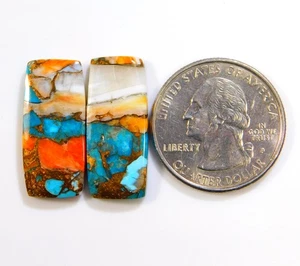 100%Natural Kingman Spiny Oyster Turquoise Pair Radiant Cabochon Gemstone BU=301 - Imagen 1 de 5