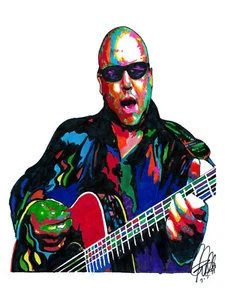 Black Francis Pixies Rock Music Poster Print Wall Art 8.5x11 - Picture 1 of 4