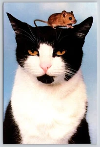 Postal Cat'N Mouse Gato con Ratón en Cabeza Felis catus 1989 Trucos de Gato - Imagen 1 de 2