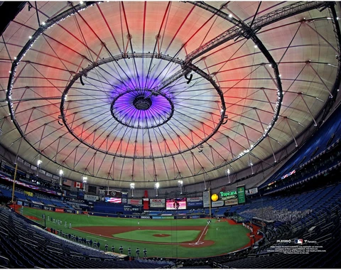 Tropicana Field Tampa Bay Rays Unsigned Long Lens General View Photograph Cover