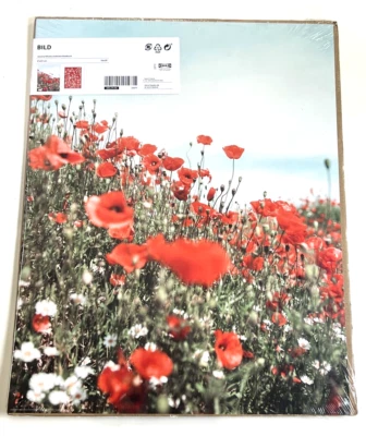 Pack de 2 PÓSTER IKEA IMAGEN 16x20" flores florales (solo póster) NUEVO Foto 1 de 4