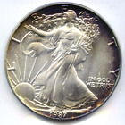 1987 American Eagle 1 oz Fine Silver Dollar - Toned Toning Bullion Coin - DM715