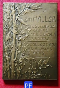 Belle Plaque Méd. 68x49mm- A Haller Chimiste Prof Sorbonne Par R Baudichon 1912 - Picture 1 of 4