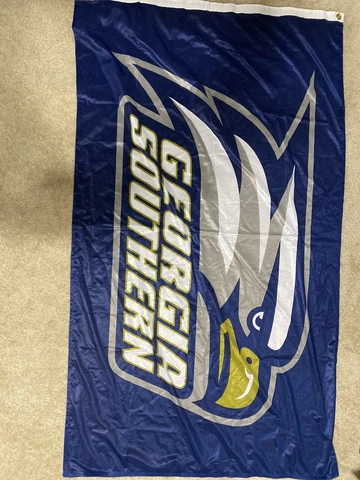 Georgia Southern Eagles Blue Flag Large 3x5 Cover