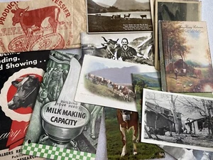 40 Lot Various Vtg Farm Cow Postcards Great For Scrapbook Junk Journal Cows - Picture 1 of 6