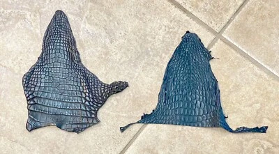 Lot of 2 ~ American Alligator Hides Black Matte Heads Genuine Gator  1424-I2 - Image 1 of 4