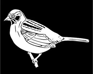 Sparrow Vinyl Decal Backyard Bird Sticker avian window graphic sticker - Picture 1 of 4