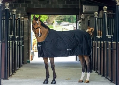 Bucas Power Cooler Abschwitzdecke Transportdecke Größe Farbe wählbar - Bild 1 von 2