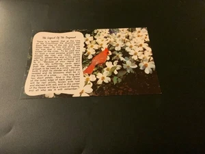 Die Legende vom Hartriegel - Unposted Vintage Postcard - Bild 1 von 2