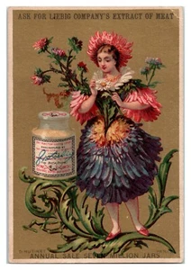 Flower Girl Anthropomorphic English Language Liebig Extracts Meat Trade Card C1 - Picture 1 of 2