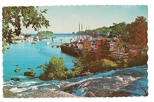 CAMDEN HARBOR Boats Sailboats Autumn Foliage Maine ME Postcard 1967 - Picture 1 of 2