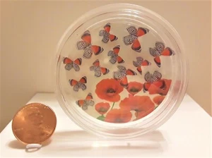 ¡NUEVO! Único 12 Realista Mariposas 88-Rojas Casa de Muñecas Pantalla de Pared en Miniatura - Imagen 1 de 2