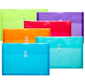 10 Pack Plastic File Folders with Label Pockets - US Letter & A4 Size - Picture 1 of 6