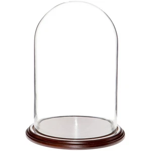 Plymor 9.75" x 15" Glass Display Dome Cloche (Dark Mahogany Veneer Base) - Picture 1 of 1