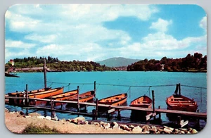 AK Seeblume am Saranac Lake, New York, in den Adirondacks B11 - Bild 1 von 2