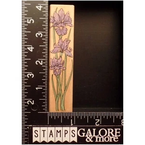 HERO ARTS RUBBER STAMPS F682 LONG IRISES IRIS GARDEN FLOWERS #2083 - Picture 1 of 2