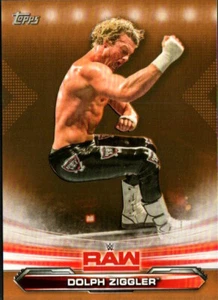 Topps WWE RAW 2019 - Bronze Parallel #25 Dolph Ziggler - Imagen 1 de 2