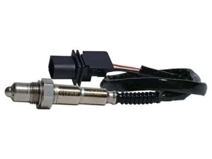 AEM FAE Wideband Juego para sensor de repuesto - Imagen 1 de 3