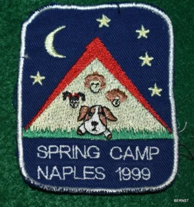 PARCHE CONSEJO NIÑA SCOUT - ENVÍO GRATUITO - Imagen 1 de 1