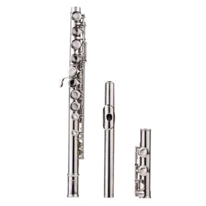 16 Hole Copper-Nickel C Key White Bronze Woodwind Flute Nickel Plated - Picture 1 of 8