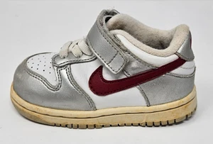 Nike De Colección Niño Pequeño PATINADOR Tenis Zapato Rojo Blanco Plata 304811-164 Gancho Lazo 5.5C - Imagen 1 de 7