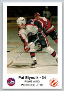 Pat Elynuik 1988-89 Winnipeg Jets - Picture 1 of 1