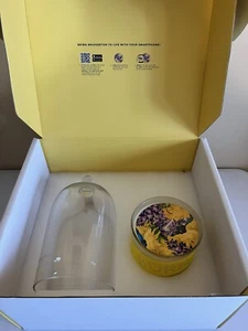 CO471 Beekman 1802 Bridgerton Limited Edition Kerze & Glas Cloche Neu in Box - Bild 1 von 2