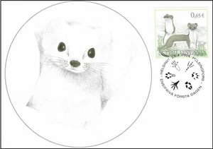 Wildlife Ermine Stoat Fauna Endangered Weasel Lapland Finland Mint Maxi FDC 2004 - Picture 1 of 1