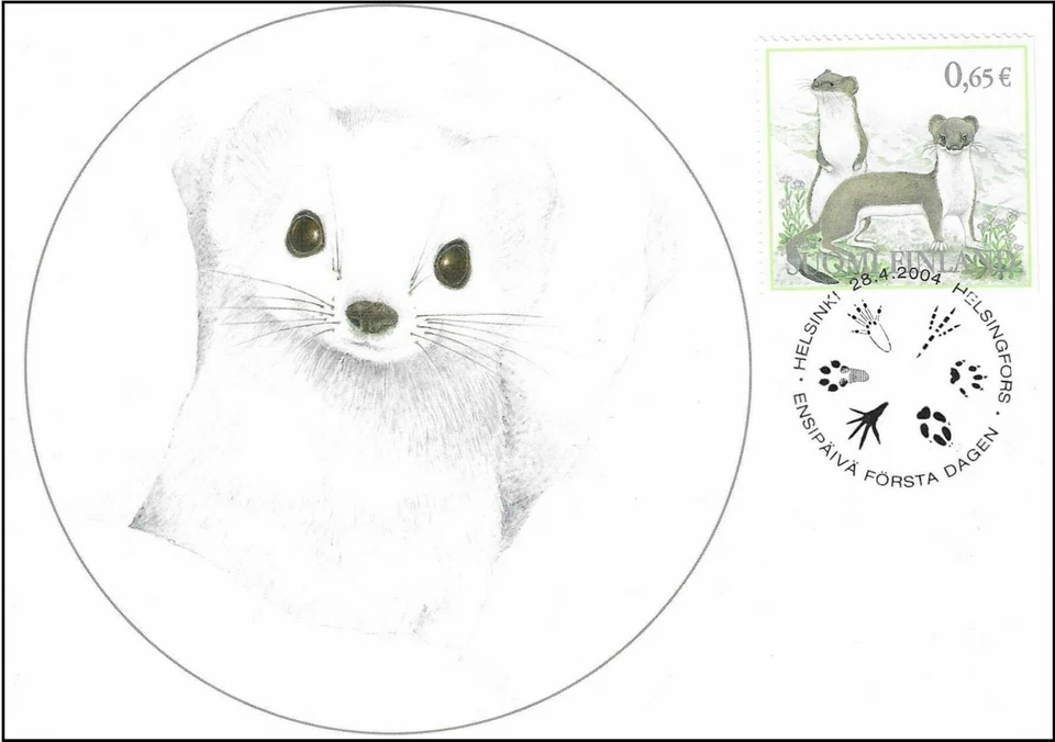 Wildlife Ermine Stoat Fauna Endangered Weasel Lapland Finland Mint Maxi FDC 2004 - Image 1 of 1