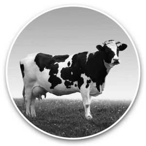 2 x Vinyl Stickers 20cm (bw) - Holstein Friesian Cow Farm Farmer #35686 - Afbeelding 1 van 8